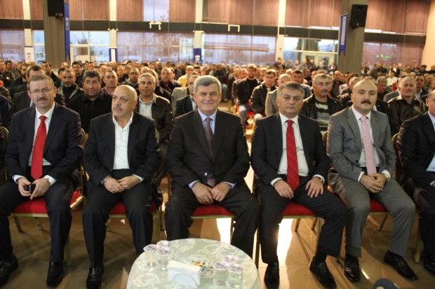 IMG_5088 (1296 x 864)